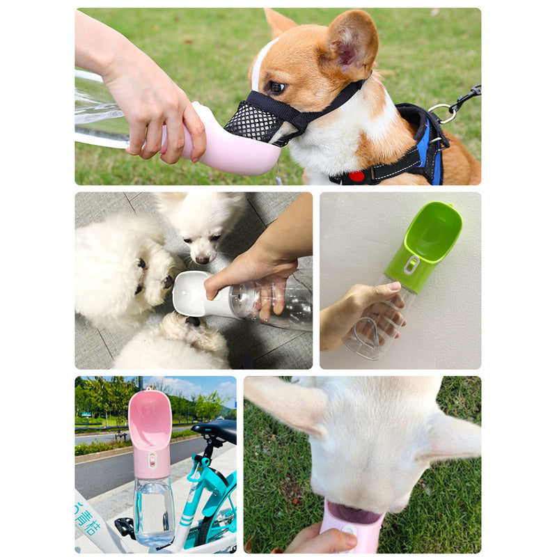 Pet Dog Water Bottle Feeder - Everything for Everyone