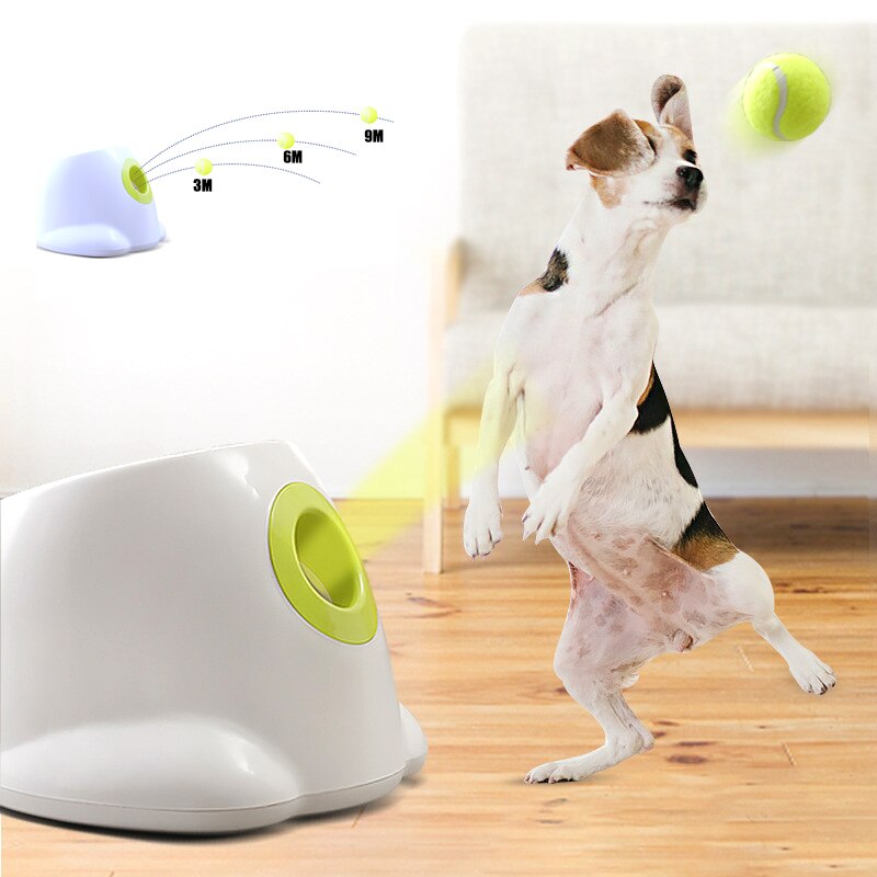 Dog pet Tennis Launcher - Everything for Everyone