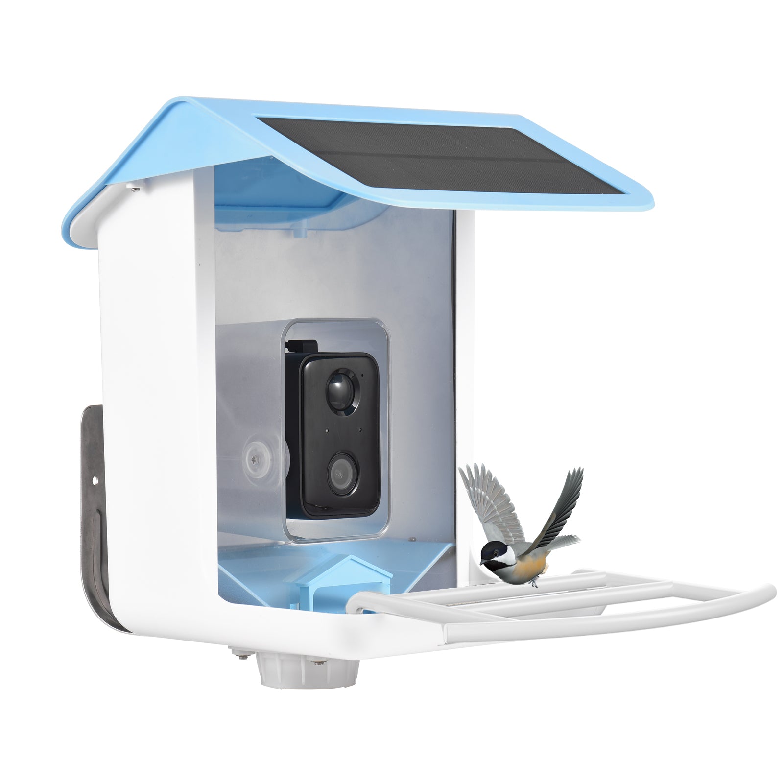 Smart Bird Feeder AI Recognition APP Camera - Everything for Everyone