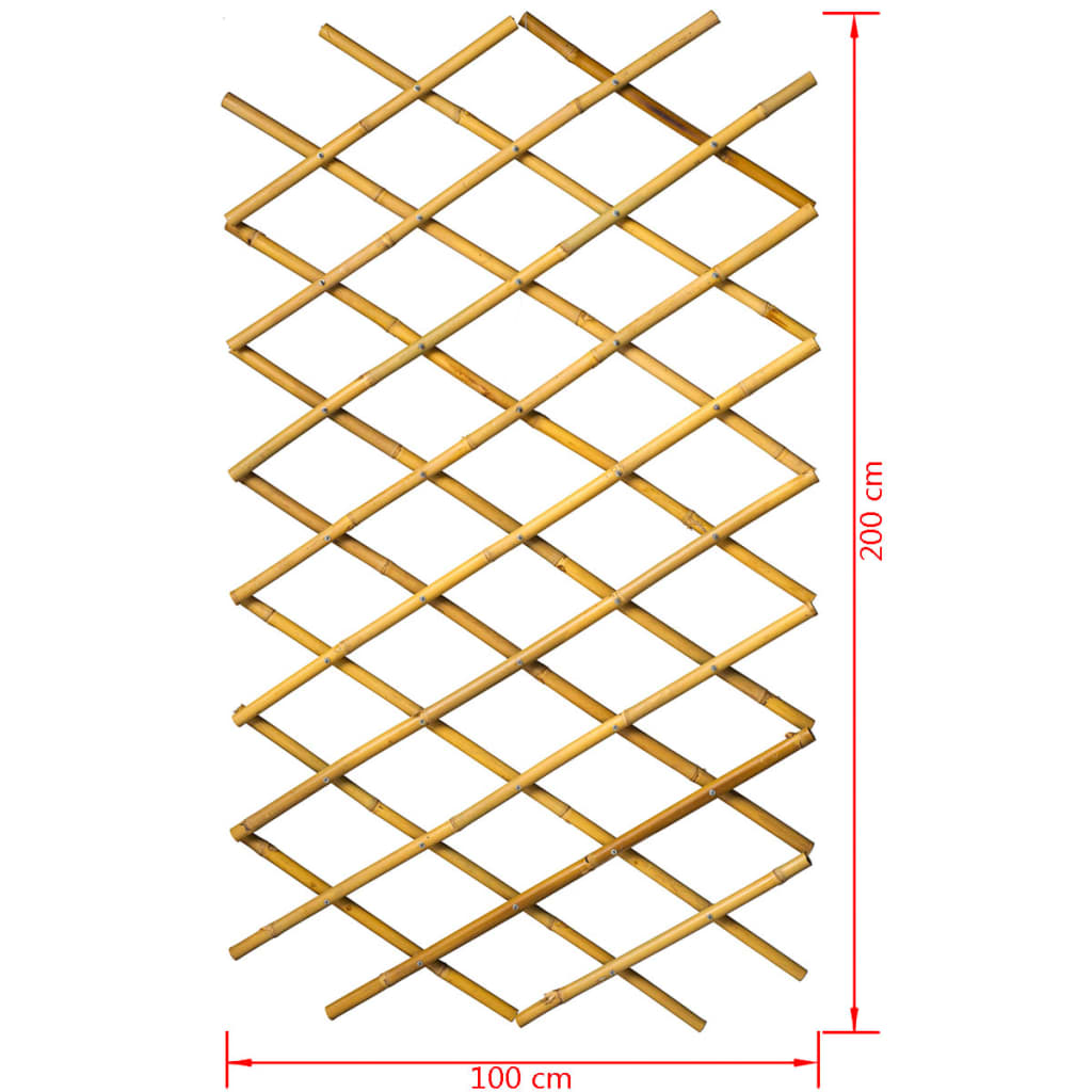 Nature Garden Trellis 100x200 cm Bamboo 6040722 - Everything for Everyone