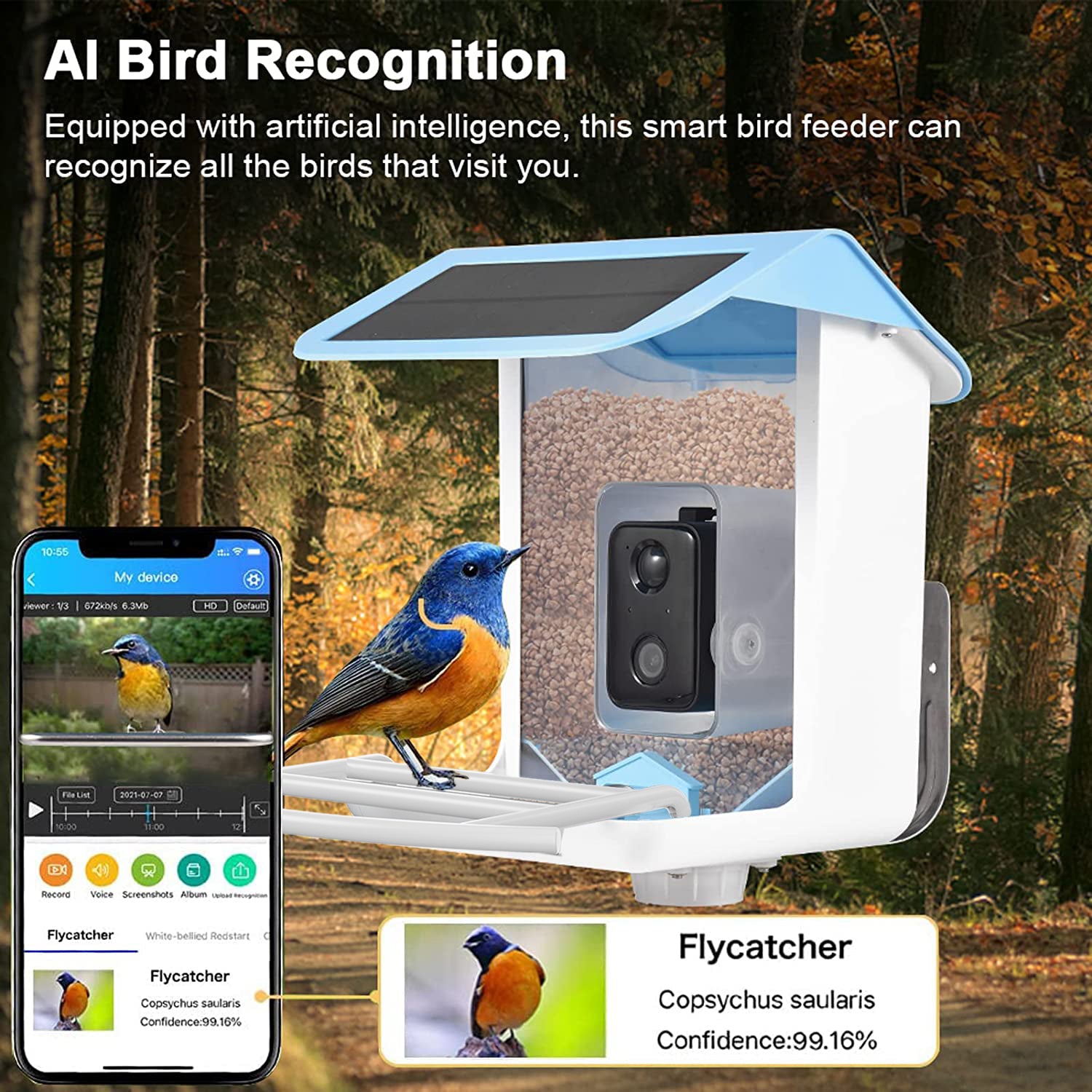 Smart Bird Feeder AI Recognition APP Camera - Everything for Everyone