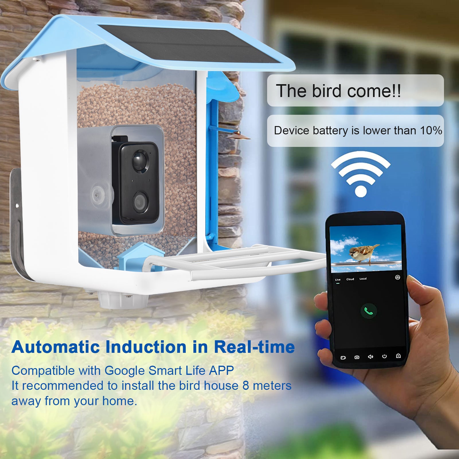 Smart Bird Feeder AI Recognition APP Camera - Everything for Everyone