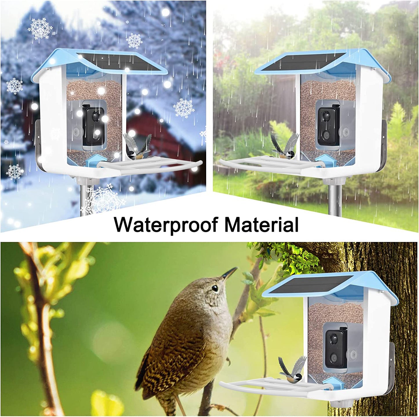 Smart Bird Feeder AI Recognition APP Camera - Everything for Everyone