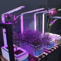 Hydroponic Indoor Herb  Kit - Everything for Everyone