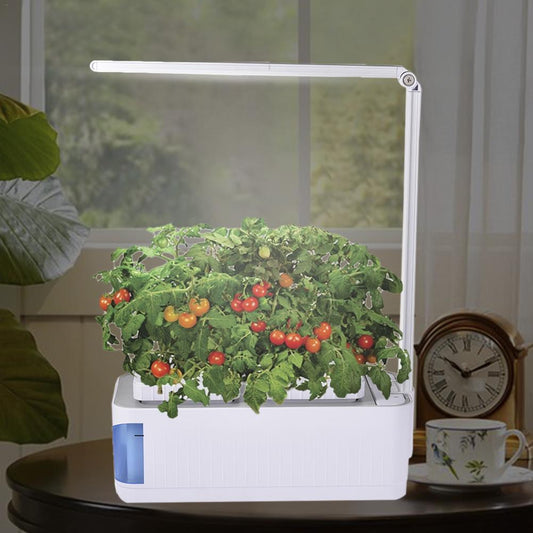 Hydroponic Indoor Herb  Kit - Everything for Everyone