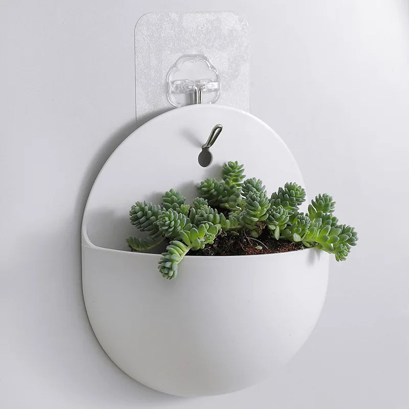 Plastic Hydroponic Wall Mounted Planter Home Garden Decoration - Everything for Everyone