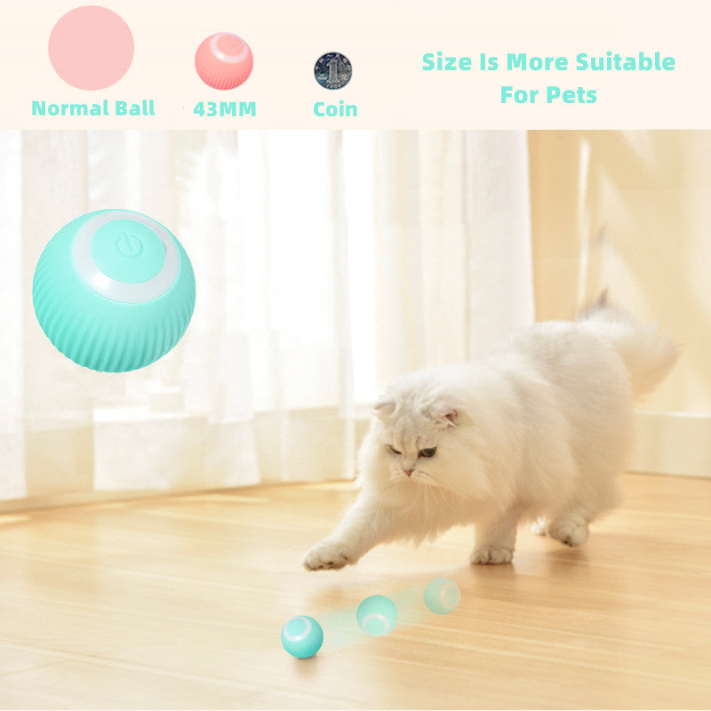 Smart Cat Ball Toys - Everything for Everyone