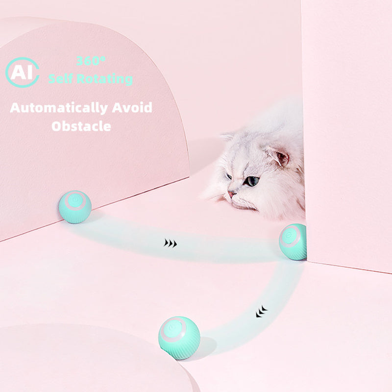 Smart Cat Ball Toys - Everything for Everyone