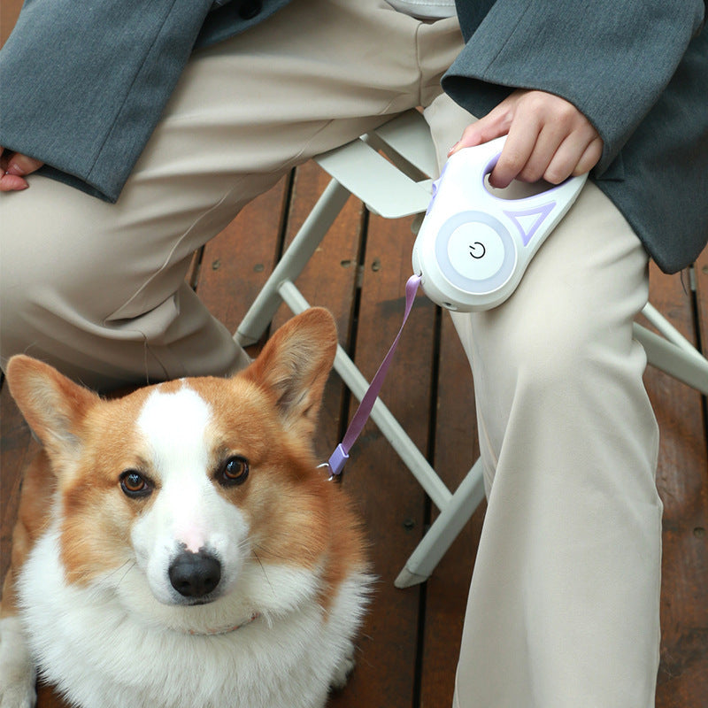 Led Lights Dog Leash - Everything for Everyone