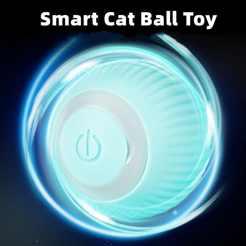 Smart Cat Ball Toys - Everything for Everyone